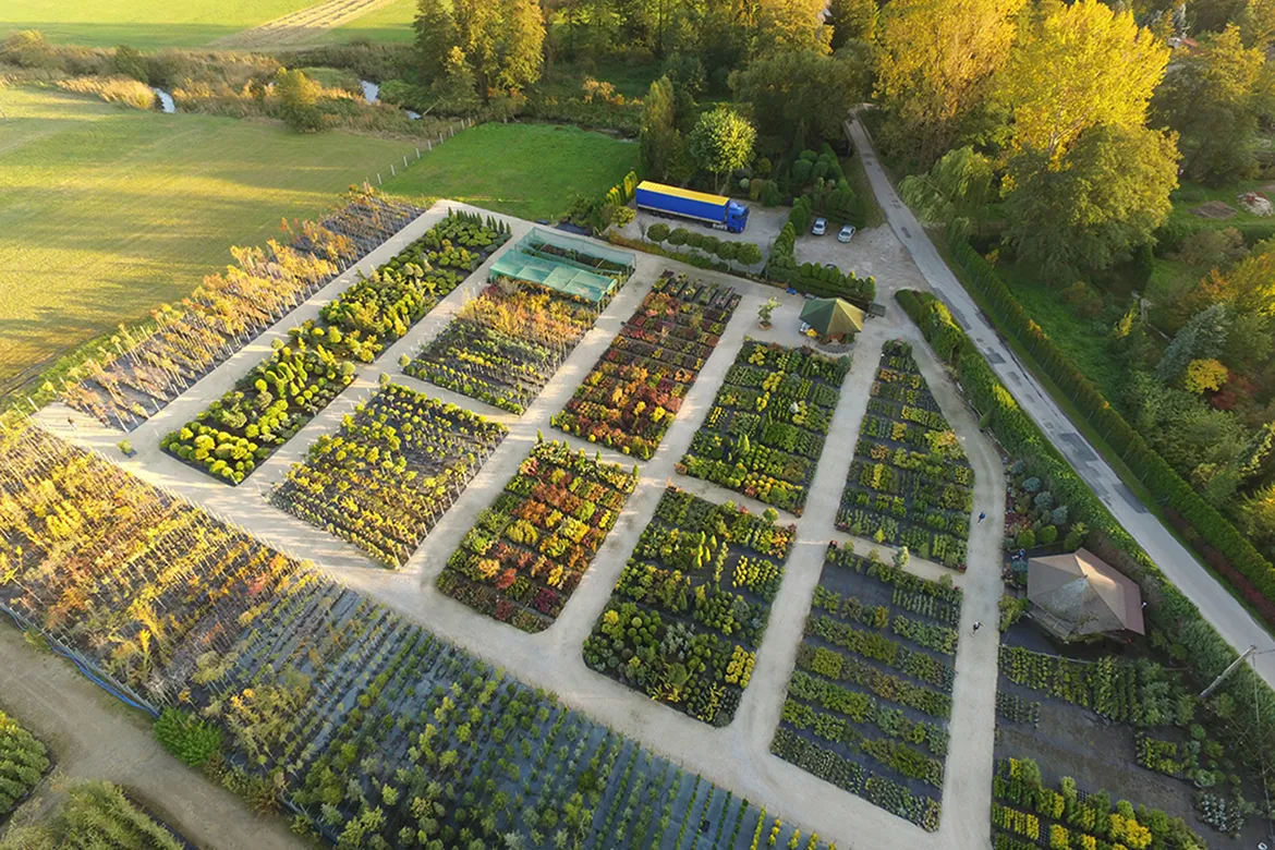 пітомнікавы матэрыял вытворчасць і дыстрыбуцыя Польшча слайд 01