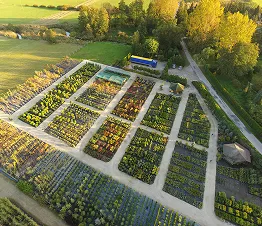пітомнікавы матэрыял вытворчасць і дыстрыбуцыя Польшча фатаграфія 04