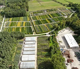 пітомнікавы матэрыял вытворчасць і дыстрыбуцыя Польшча фатаграфія 05