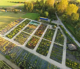 пітомнікавы матэрыял вытворчасць і дыстрыбуцыя Польшча фатаграфія 15